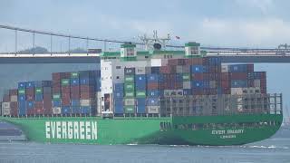 Container Ship《EVER SMART》Crossing Tsing Ma Bridge in HK  20250521
