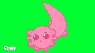 Axolotl Test Green Screen