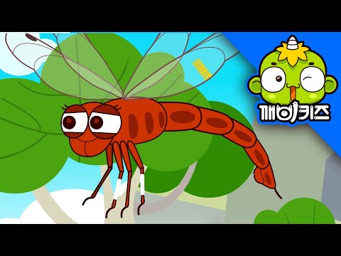 잠자리를 구해줘 | 곤충구조대 | 과학동화 | 어린이동화 | 초등과학 | 모기 | 깨비키즈 KEBIKIDS