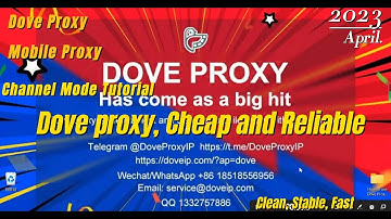 Tutorial about how to use #DoveProxy’s #MobileProxy through Channel Mode