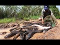 amazing fishing village! a lot of catch catfish on waterway when flood water catch by hand