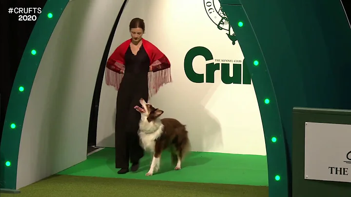 Crufts Heelwork to Music winner 2020 Caroline Garr...