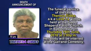 Theresa Gibbs long