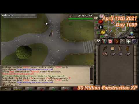 Progress Vid 31 (HCIM Level 3 Skiller)
