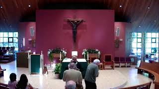 Tjursday of the 12th Week in Ordinary Time: 6/25/26
