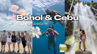 Bohol & Cebu Vlog 🐢 | 2026