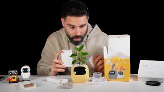 These Smart Pet Planters Are The Cutest Full Setup