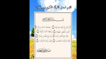 قرآن كريم(  سورة الشرح) بصوت القارئ المبدع محمد الفقيه ستوريات دينيه حالات واتساب