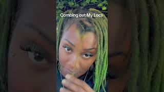 Combing out my locs  #combingoutlocs #locswithbangs #locs #starterlocs #locjourney