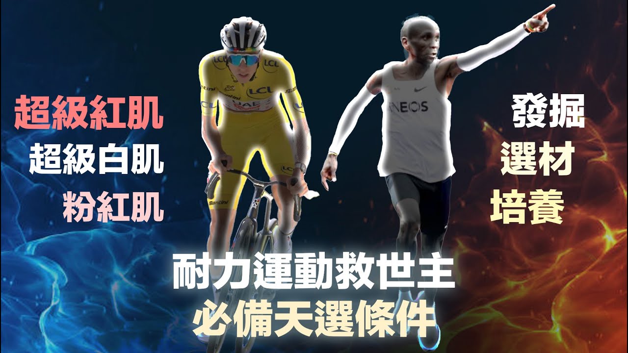 耐力運動救世主必備天選條件 超級紅肌 + 白肌 & 粉紅肌 發掘、選材、培養