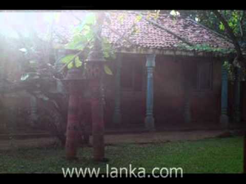 Jetwing Ayurveda Pavilions, Negombo, Sri Lanka