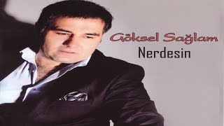 Göksel SAĞLAM - Alucranın Pazarı Resimi