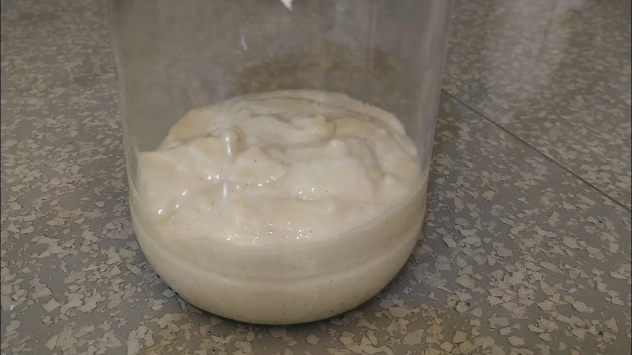 glutensiz ekşi maya yapılışı ve beslenmesi