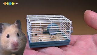 DIY Miniature Hamster cage ミニチュアハムスターケージ作り - YouTube