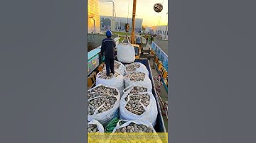 Efficient Material Handling on the Job Site: Construction Logistics Crane Lifting Rock Bulk Bags