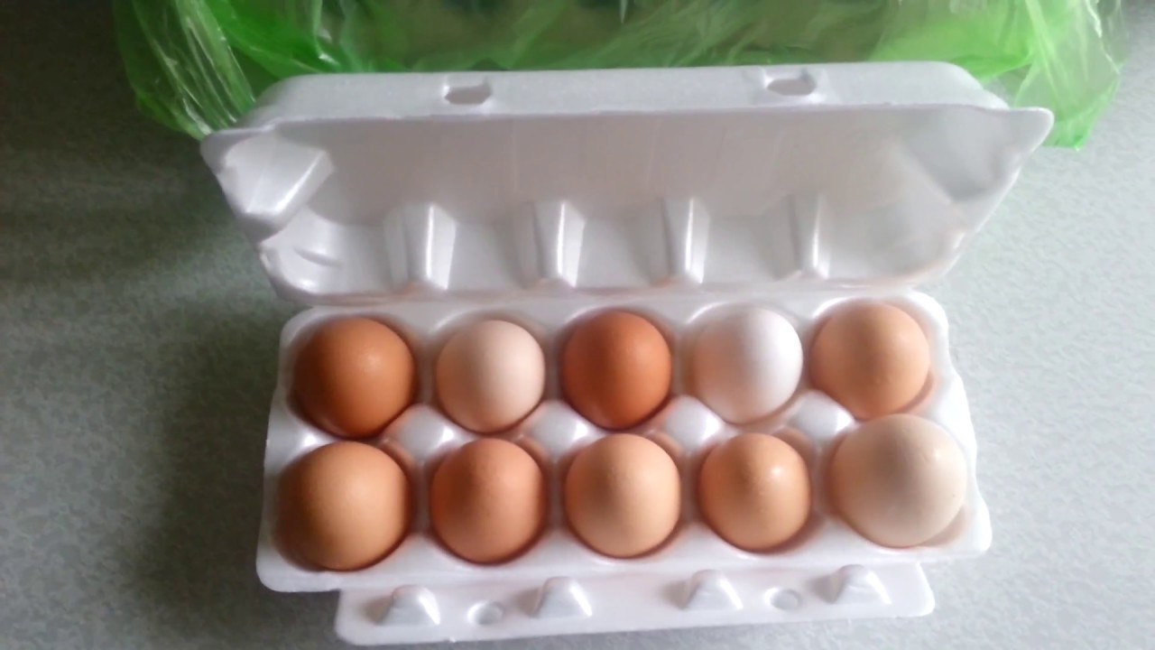 Подготовка яиц к продаже - YouTube