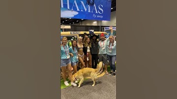 Most crucial skill for a career in scuba diving