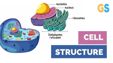 Class 8 Science - Cell Structure and Functions | NCERT Syllabus