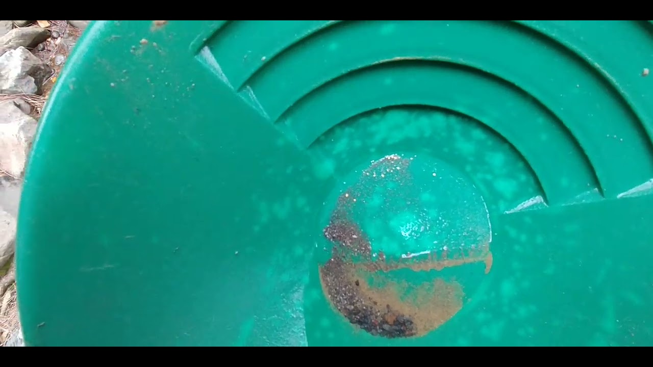 Original Adventure Gold Video