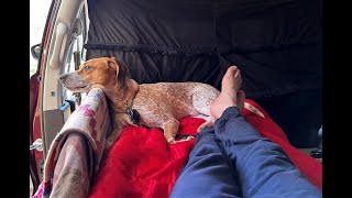 Spontaneous Minivan camping with Taylor (in no-build Pacifica) No Build Van Conversion Chrysler Pacifica