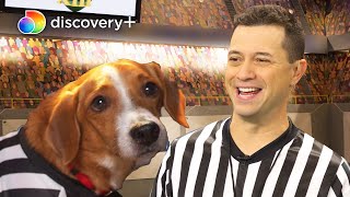 Dan's New Assistant's Flight to Freedom | Puppy Bowl XVIII | discovery+