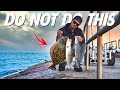 You cannot go jetty fishing without knowing this first  you cant catch fish