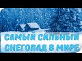 Самый сильный снегопад в мире