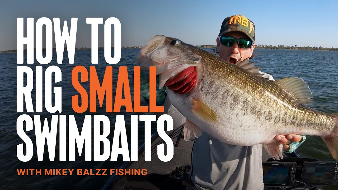 How to Rig Small Swimbaits 