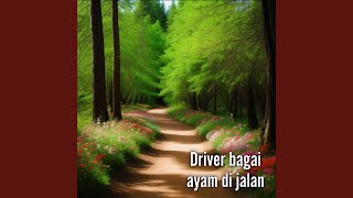 Driver bagai ayam di jalan
