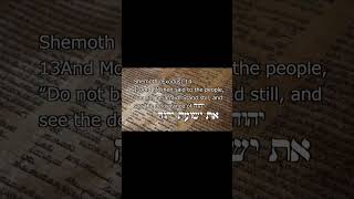 Messiahs Name: YHWH + יְשׁוּעָה (Yashuah) = Yahushua | It’s in the Hebrew!  #messengerofthename
