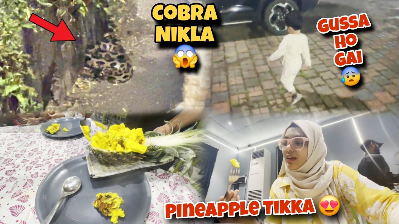 Aaj Hamne Dekha Live Cobra😱 Ham Gaye Sigdi Hotel Me Khane😍 Jannat Gussa Ho gai ? Vlog 45