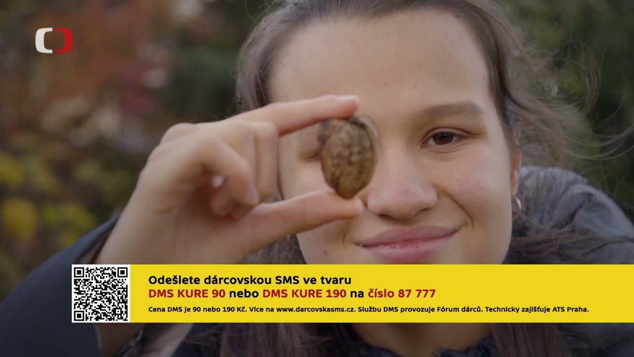 Spoluškola medajlonek