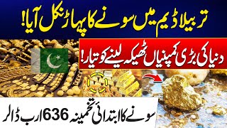 Mive D Discovery At Tarbela Dam - Global Companies Rush For Contracts - Exclusive Report