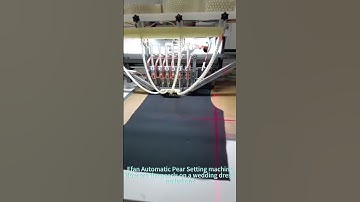 How are the pearls on a wedding dress nailed on？#automatic pearl setting machine