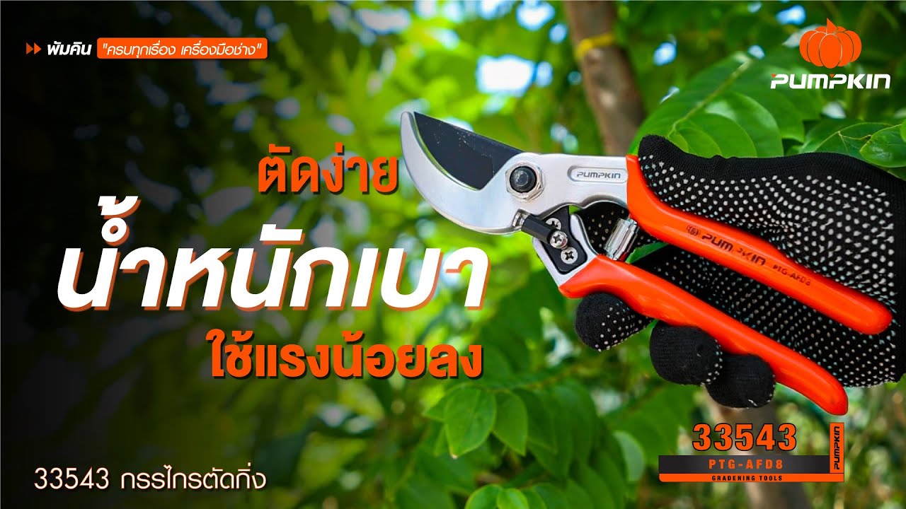 PUMPKIN กรรไกรตัดกิ่งไม้หนา Anvil Full Drop forged 8" รุ่น PTG-AFD8 (33543)