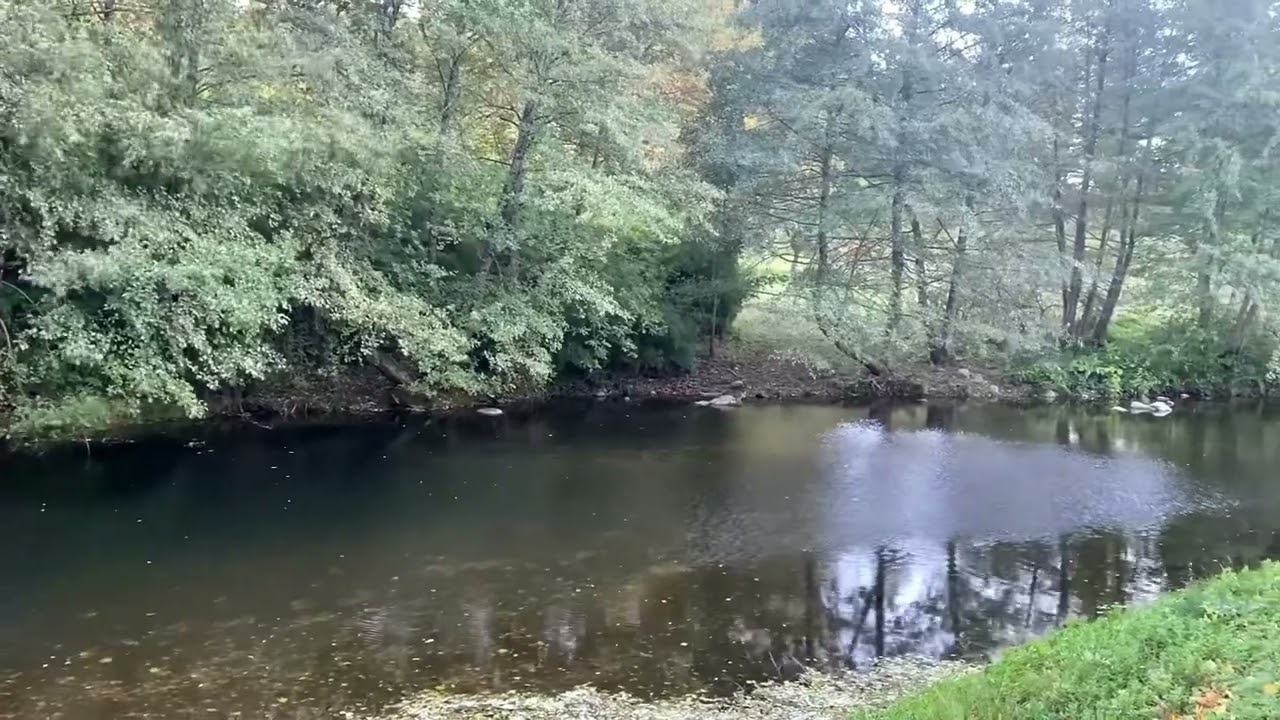 Le miroir… Texte de Maurice Zundel