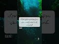Allah py bharosa |QA Soul Official| #Shorts #youtubeshorts #Quotes #shortsfeed #Allahpybharosa