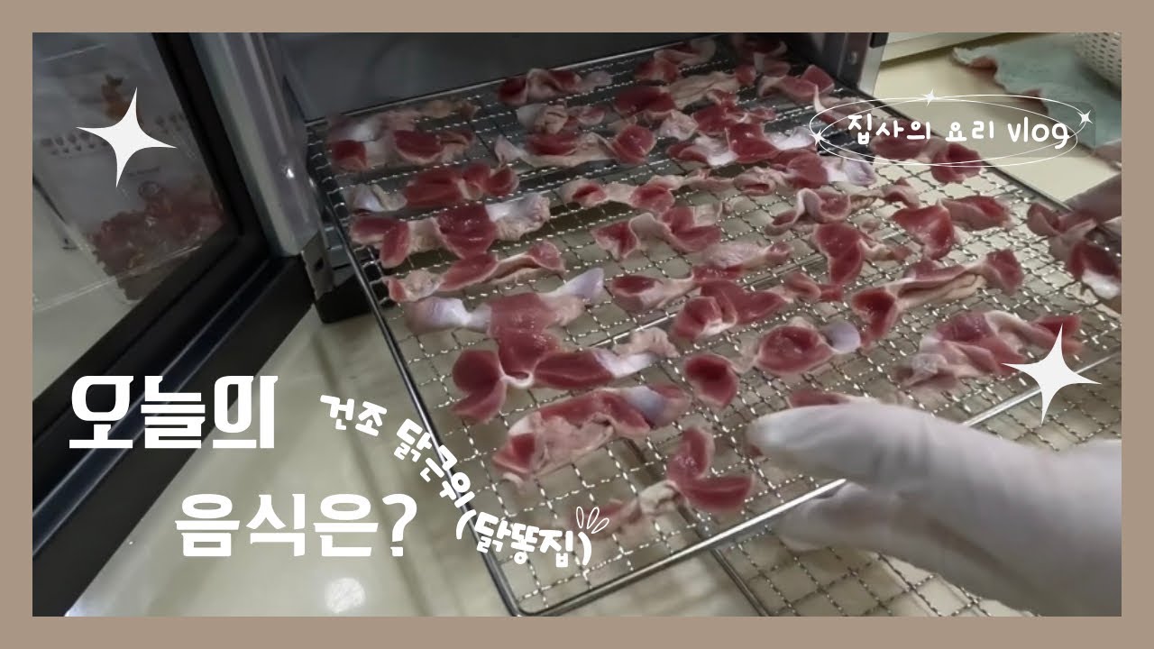 강아지 수제 간식 만들어주기 [건조 닭근위(닭똥집)] | 어렵지 않아여! | 집사의 요리 vlog