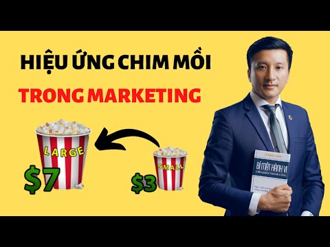 Video Hiệu ứng chim mồi trong Marketing - Chiến lược bán... - youtube