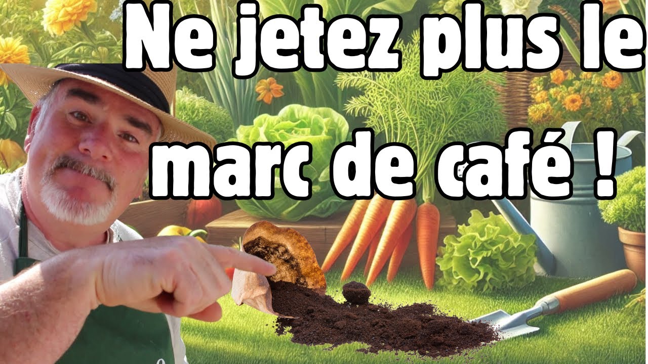 Comment j'utilise le marc de café au potager et au jardin?