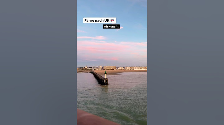 Unsere Tipps zur Fährüberfahrt nach England mit Hund 🐶 #ferry #dover #calais #dog #uk