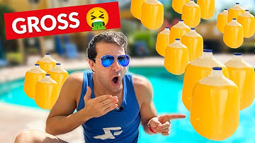 How Much PEE Is in a Swimming Pool? (You Need To Know)