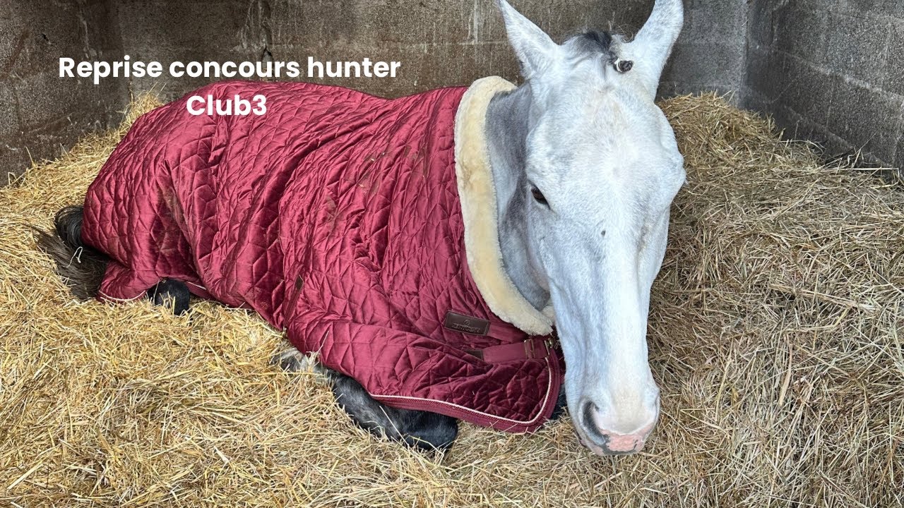 REPRISE HUNTER CLUB3 POUR NOUS 🎉