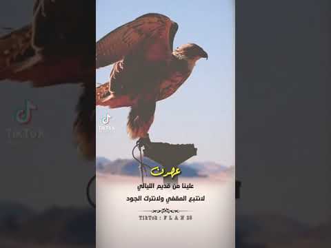 ١٢ أكتوبر ٢٠٢١