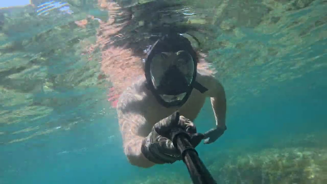 Isla del Portixol (Javea) 2025