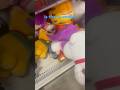 Brain found a woman!?🤩♥️♥️♥️ #familyguy #pardoy #plush #cutaway #viral #trending #trendingshorts