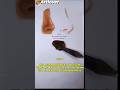 ULTIMATE GUIDE TO COLOR MIXING || HOW TO PAINT A NOSE EASILY. artist: rajeshshetty114