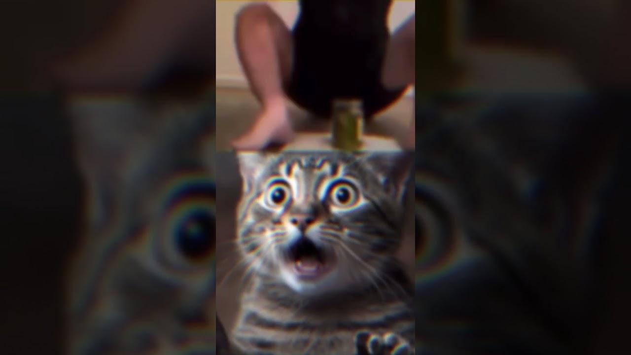 1 man 1 jar🥶🥶🥶