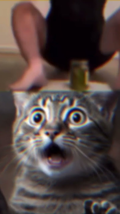 1 man 1 jar🥶🥶🥶#shorts #1man1jar#cat #funny#memes