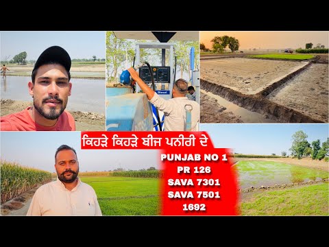 ਝੋਨੇ ਦੀ ਪਨੀਰੀ • ਕਿਹੜੇ ਕਿਹੜੇ ਬੀਜ 🌱 • Full Information Video • Punjabi Farmer